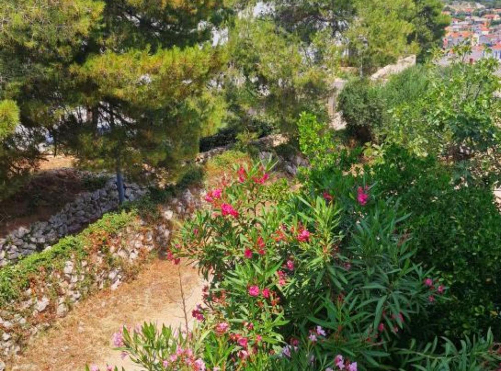 Pansion Belvedere Mali Lošinj Dış mekan fotoğraf
