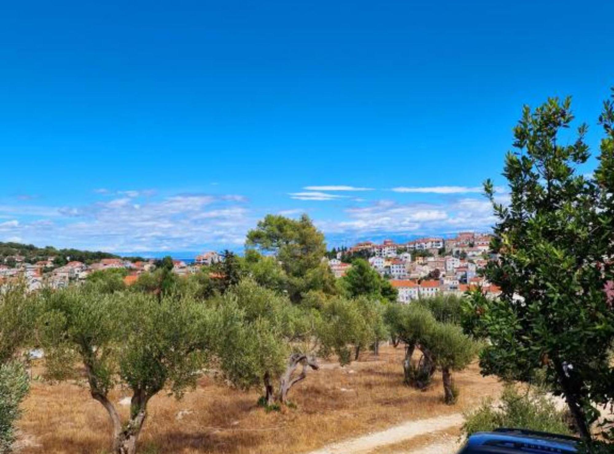 Pansion Belvedere Mali Lošinj Dış mekan fotoğraf